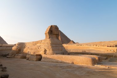 Sfenks giza - cairo, Mısır