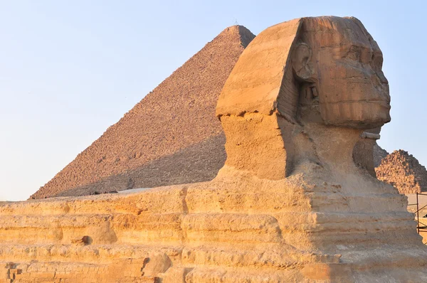 吉萨-开罗，埃及的狮身人面像 — 图库照片