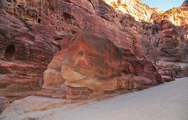 Fil şeklinde kaya - petra, jordan — Stok fotoğraf
