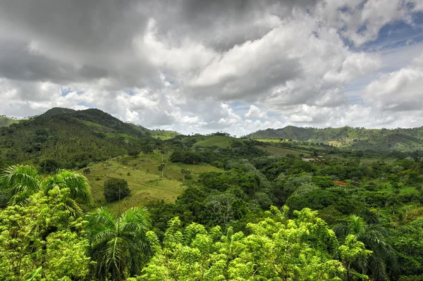 Tropical Forest, Dominican Republic — Stock Photo, Image