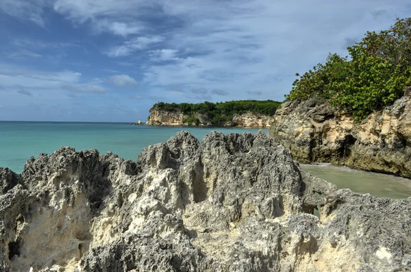 Macao beach, punta cana, Dominikanska Republiken — Stockfoto