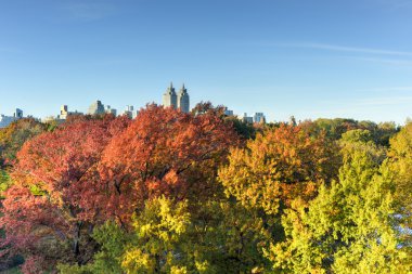 Central Park, Sonbahar, New York