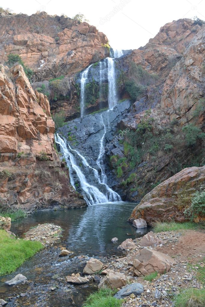 Walter sisulu botanical gardens Walter sisulu botanical gardens