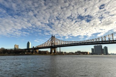 Roosevelt Island Bridge, New York clipart