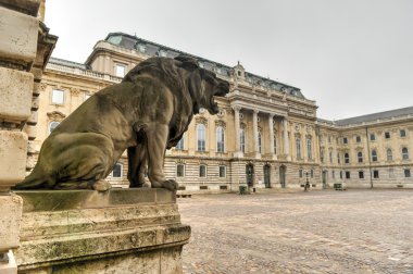 Buda Kalesi - Budapeşte, Macaristan
