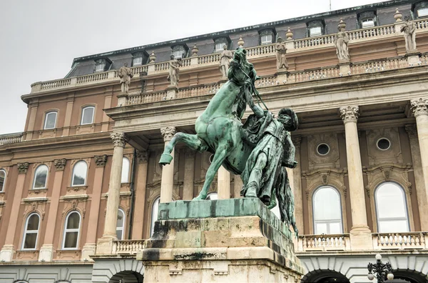 Caballo Wrangler, Castillo de Buda - Budapest, Hungría . — Foto de Stock