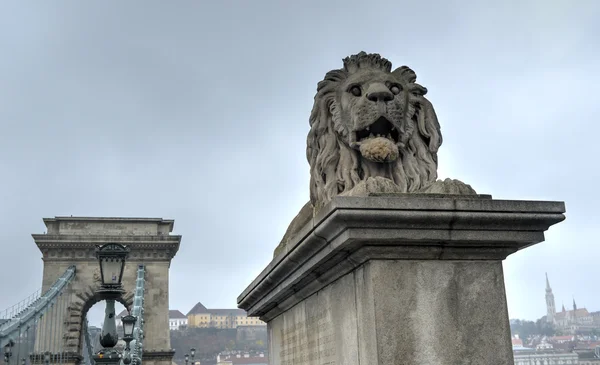 Szechenyi Řetězový most - Budapešť, Maďarsko — Stock fotografie