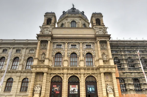 Doğal Tarih Müzesi - Vienna, Avusturya — Stok fotoğraf