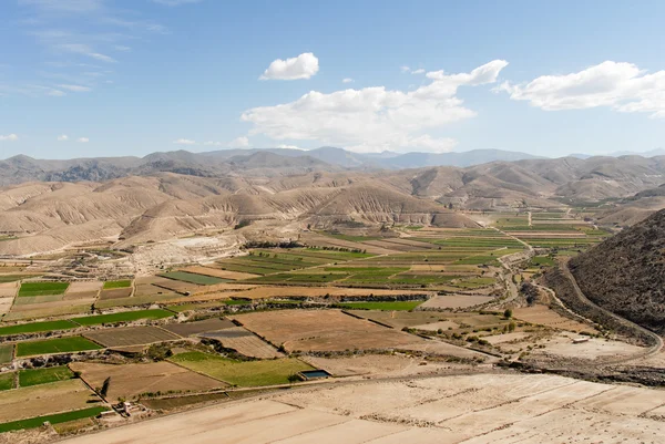 Dziedzinie tarasach kanion Colca, Peru — Zdjęcie stockowe