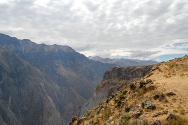 colca Kanyonu, peru