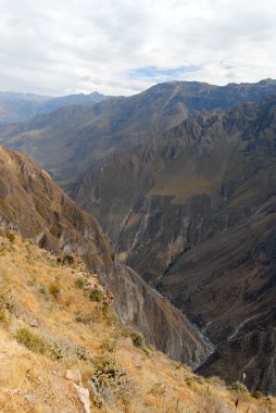 Colca Canyon, Peru Panorama