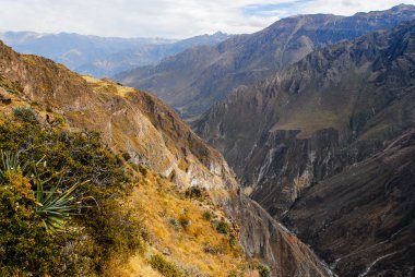 colca Kanyonu, peru