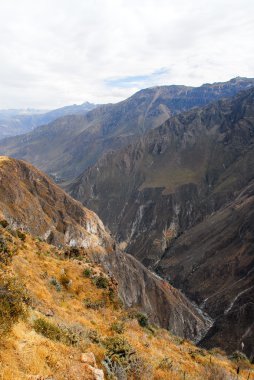 Colca Canyon, Peru Panorama