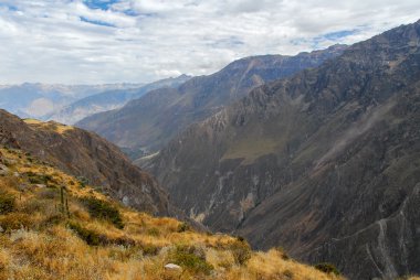 Colca Canyon, Peru Panorama