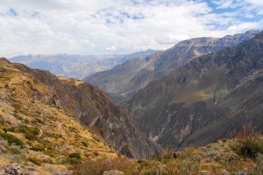 colca Kanyonu, peru