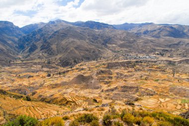 colca Kanyonu, peru