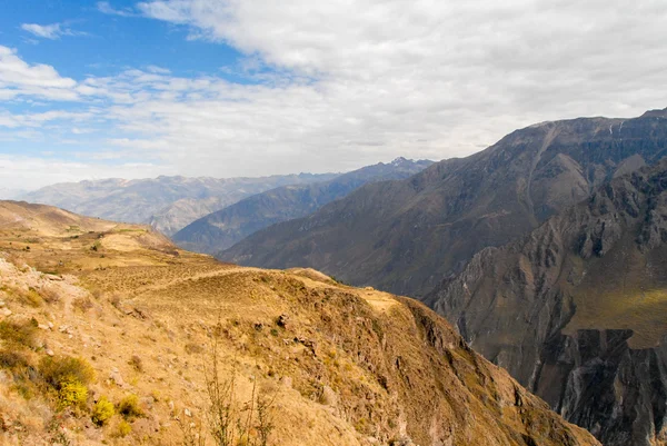 Colca Kanyonu, peru — Stok fotoğraf