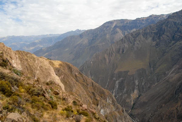 Colca-schlucht, peru — Stockfoto