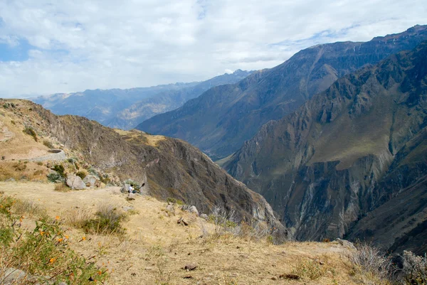 Canyon del Colca, Perù — Foto Stock