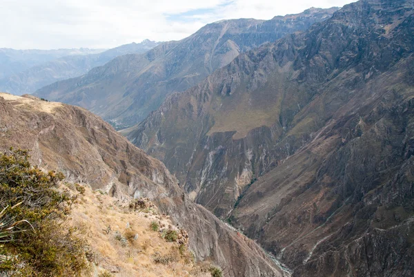 Colca-Schlucht, Peru-Panorama — Stockfoto