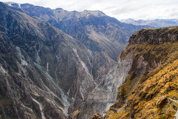 Colca canyon, Περού — Φωτογραφία Αρχείου