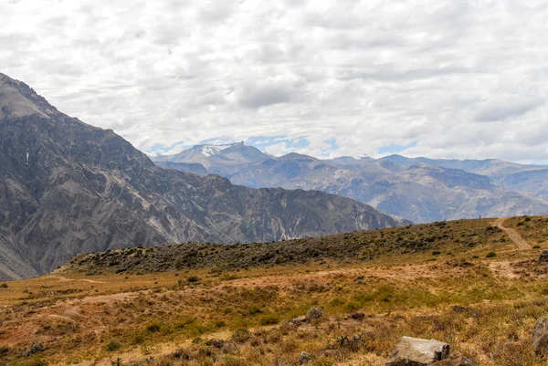 Kanion Colca, Peru Panorama — Zdjęcie stockowe