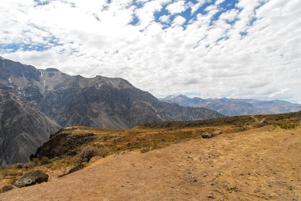 Kanion Colca w peru — Zdjęcie stockowe