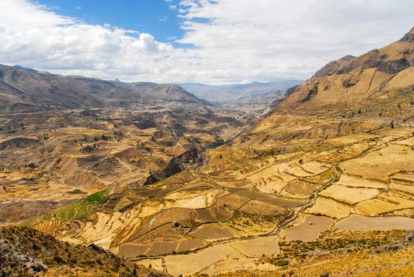 Colca Canyon, Peru — Stockfoto