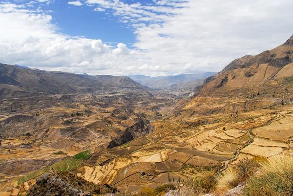 科尔卡大峡谷、 秘鲁 — 图库照片