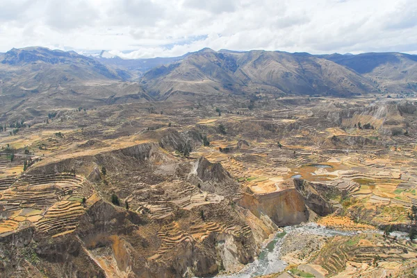 Colca Kanyonu, peru — Stok fotoğraf