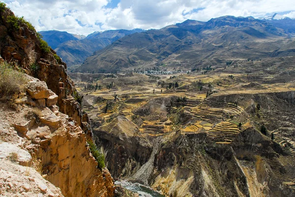 Colca Kanyonu, peru — Stok fotoğraf