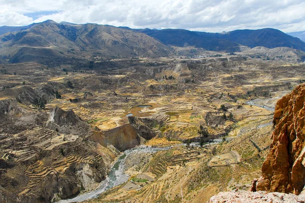 Cañón del Colca, Perú —  Fotos de Stock