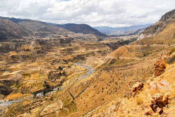 Kanion Colca w peru — Zdjęcie stockowe