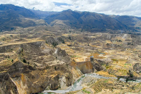 Colca Canyon, Peru — Stockfoto