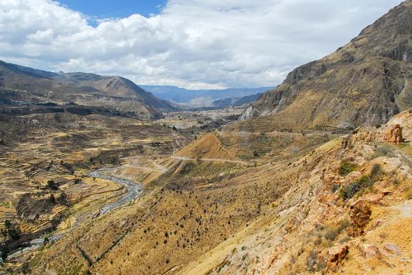 Canyon del Colca, Perù — Foto Stock