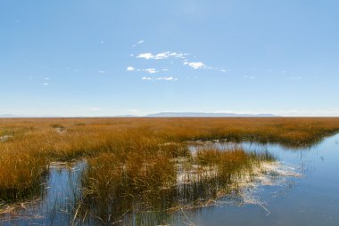 Titicaca gölü, Peru etrafında sahne