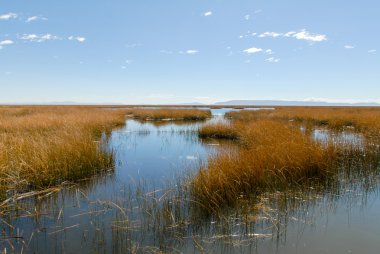 Titicaca gölü, Peru etrafında sahne