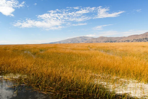 Paisajes alrededor del Lago Titicaca, Perú — Foto de Stock