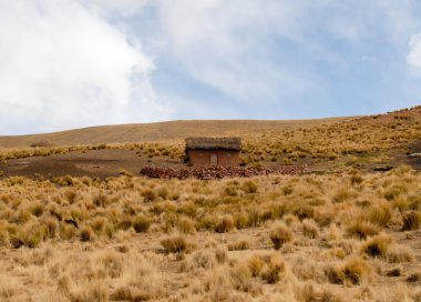 Çiftlik boyunca Cusco-Puno, Peru