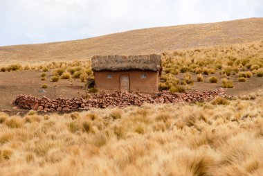 Çiftlik boyunca Cusco-Puno, Peru