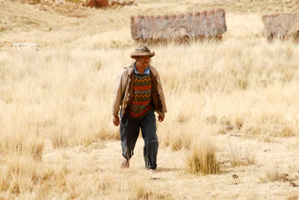 Agricultor peruano, Peru — Fotografia de Stock