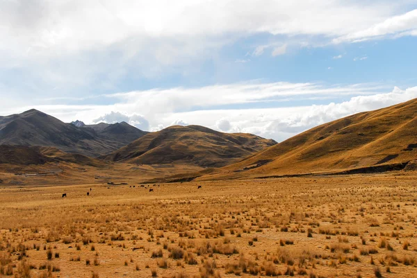 Vista a lo largo de la carretera Cusco-Puno, Perú —  Fotos de Stock