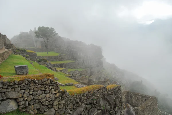 Machu Picchu, Peru — Stok fotoğraf