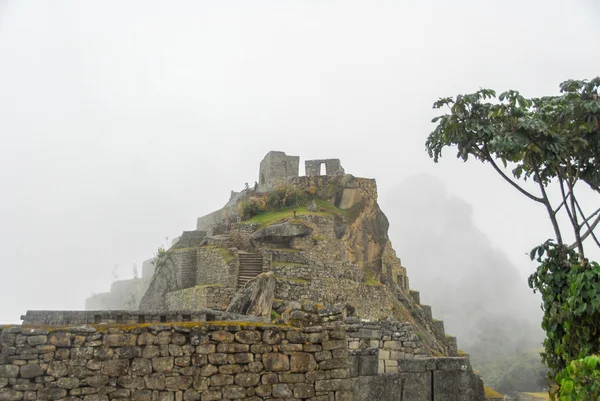 Machu Picchu, Peru — Stok fotoğraf