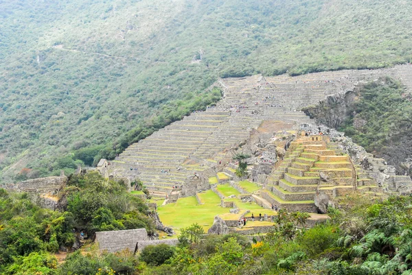 Machu Picchu, Peru — Stok fotoğraf