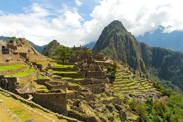 Machu Picchu, Peru — Stok fotoğraf