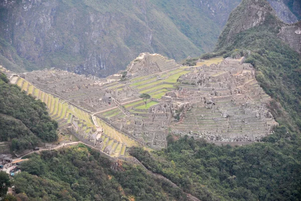 Machu Picchu, Perú —  Fotos de Stock