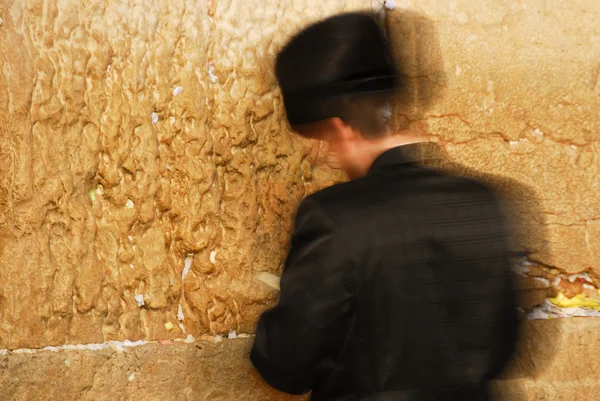 Traditionele chassidische Man bidden Klaagmuur — Stockfoto