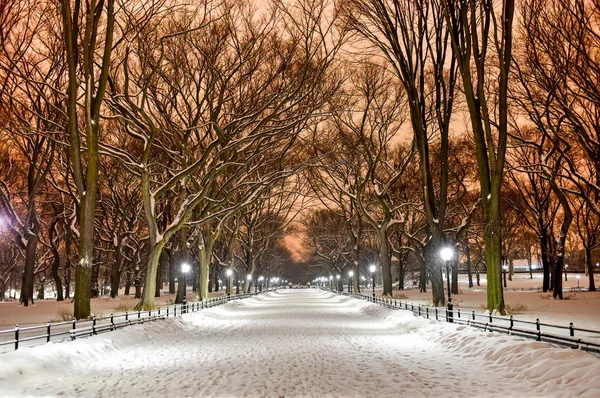 Central Park Night, New York City — Stock Photo, Image