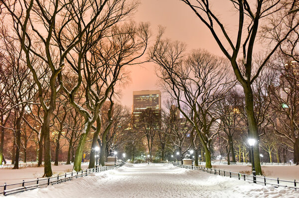 Central Park at night during the winter in New York City.